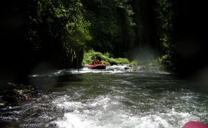 Rafting Bali Telaga Waja, Rekomendasi Seru Menghabiskan Waktu Liburan