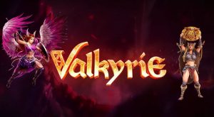 Valkyrie Splitz Review
